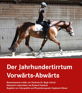 DVD Jahrhundertirrtum Vorwärts-Abwärts